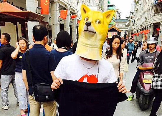 Dog Head Mask Akita Inu Single Mask
