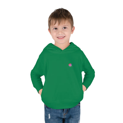Deals on Diapers Pullover Fleece Hoodie